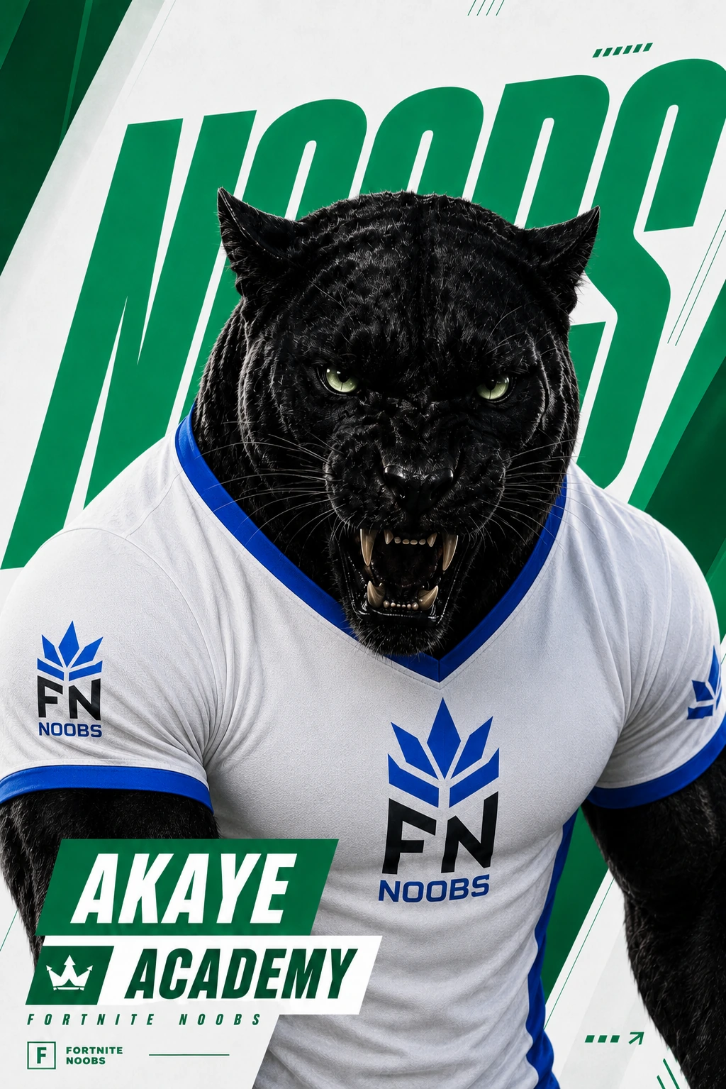 Akaye — Fortnite Noobs Academy Player Card